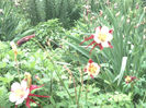 2013 - mai (1)