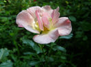 P1018287