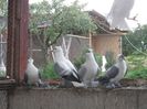 DSCF6028