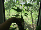 DSCF4174