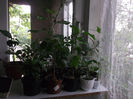 DSCF4177