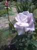 DSC03138