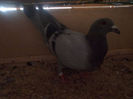Picture 074