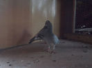 Picture 103