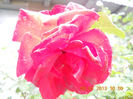DSCN3408