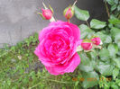 DSCN3442
