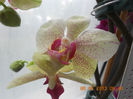 DSCN3386