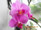 DSCN3388