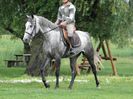 IAPA SHAGYA ARAB-MERSUCH