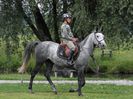 IAPA SHAGYA ARAB-MERSUCH