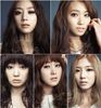 skarf1