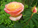 P1018340