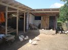 DSC03544