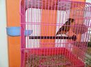 DSCN2929
