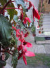DSC05050