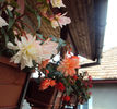 DSC06001