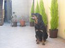 DSCN6053