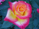DSCN5675