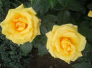 DSCN5677