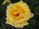 DSCN5680