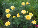 DSCN5683