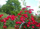 DSCN5692