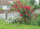 DSCN5701