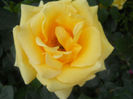 DSCN5702