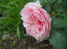 DSCN5707