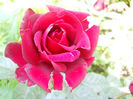 DSCN5714