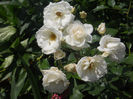 DSCN5719