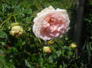 DSCN5725