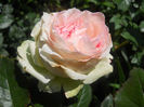 DSCN5729