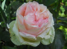 DSCN5730