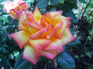 DSCN5734