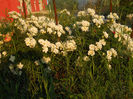 DSCN5747