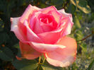 DSCN5758
