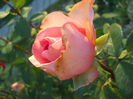 DSCN5760