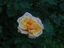 DSCN5789