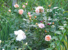 DSCN5791