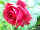 DSCN5793