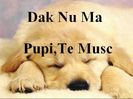 dak_nu_ma_pupi_te_mu