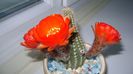 DSC09390