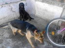 IMG_20130413_171725