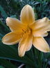 2013-05-25 19.37.55