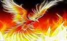 pheonix-bird-phoenix-open-walls-847566