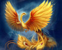 phoenix-wallpaper-1