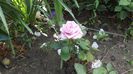 DSCF4013