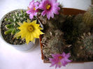 IMAG0013