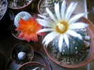 IMAG0064